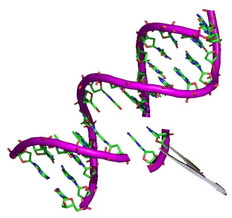 Gene therapy via ex vivo editing extracts cells, modifies their DNA, and reimplants them.