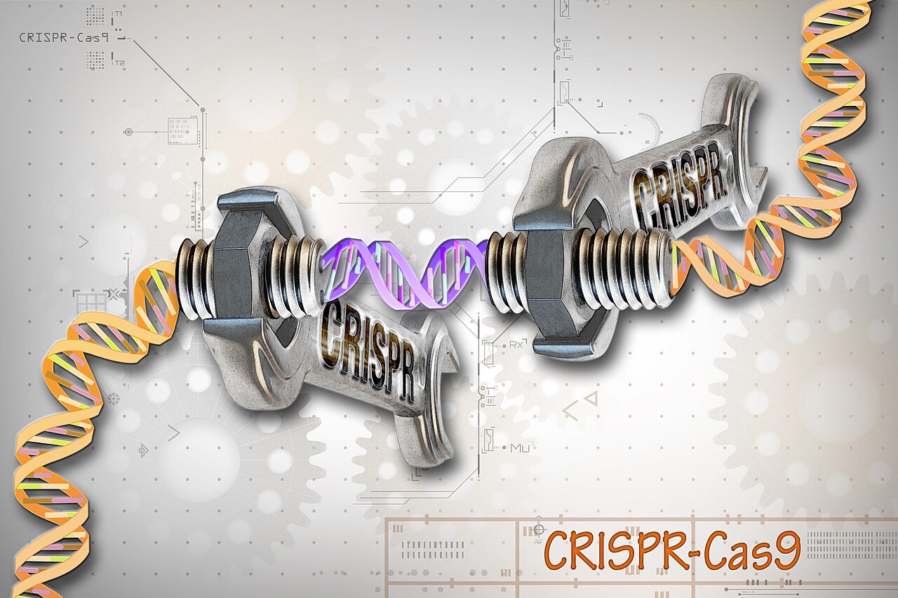 CRISPR system