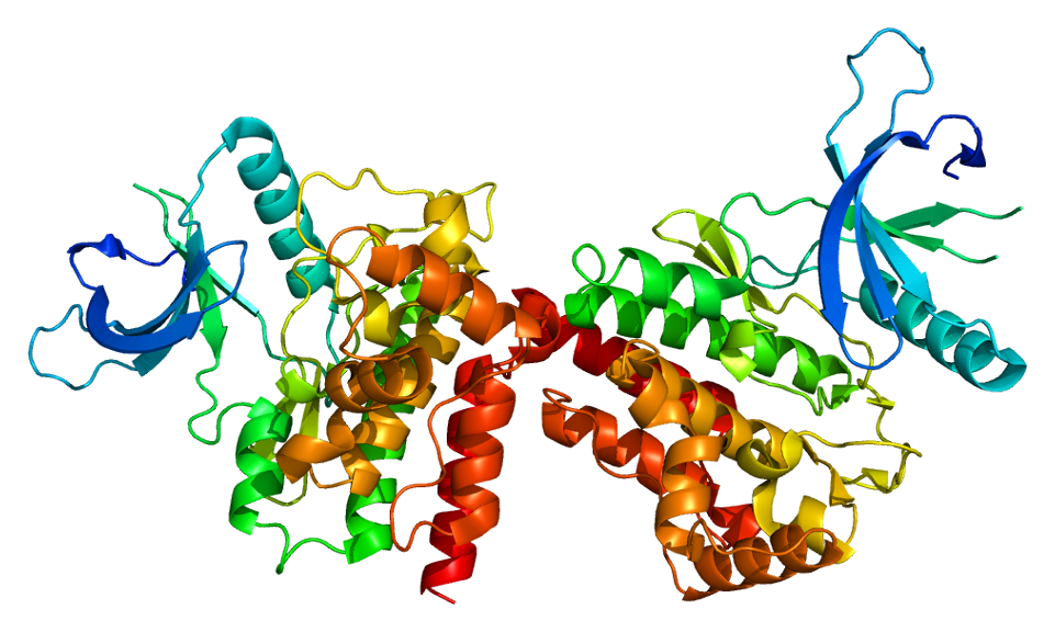 Deuruxolitinib and the three-drug era in severe alopecia areata