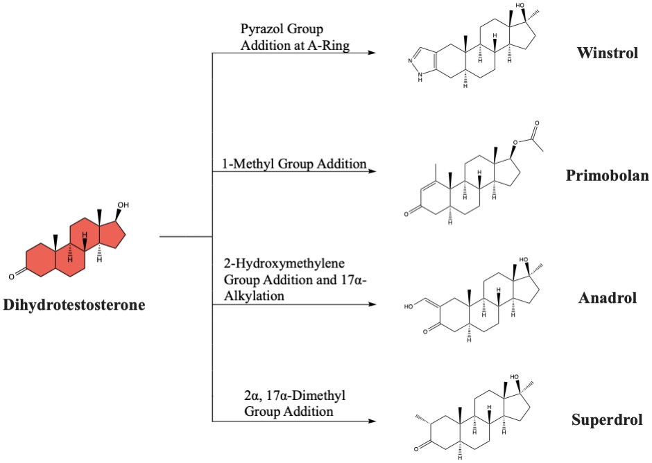 DHT conversion to Winstrol via Pyrazol Group Addition at A-Ring. DHT conversion to Primobolan via 1-Methyl Group Addition. DHT conversion to Anadrol via 2-Hydroxymethylene Group Addition and 17a-Alkylation. DHT conversion to Superdrol via 2a, 17a-Dimethyl Group Addition.