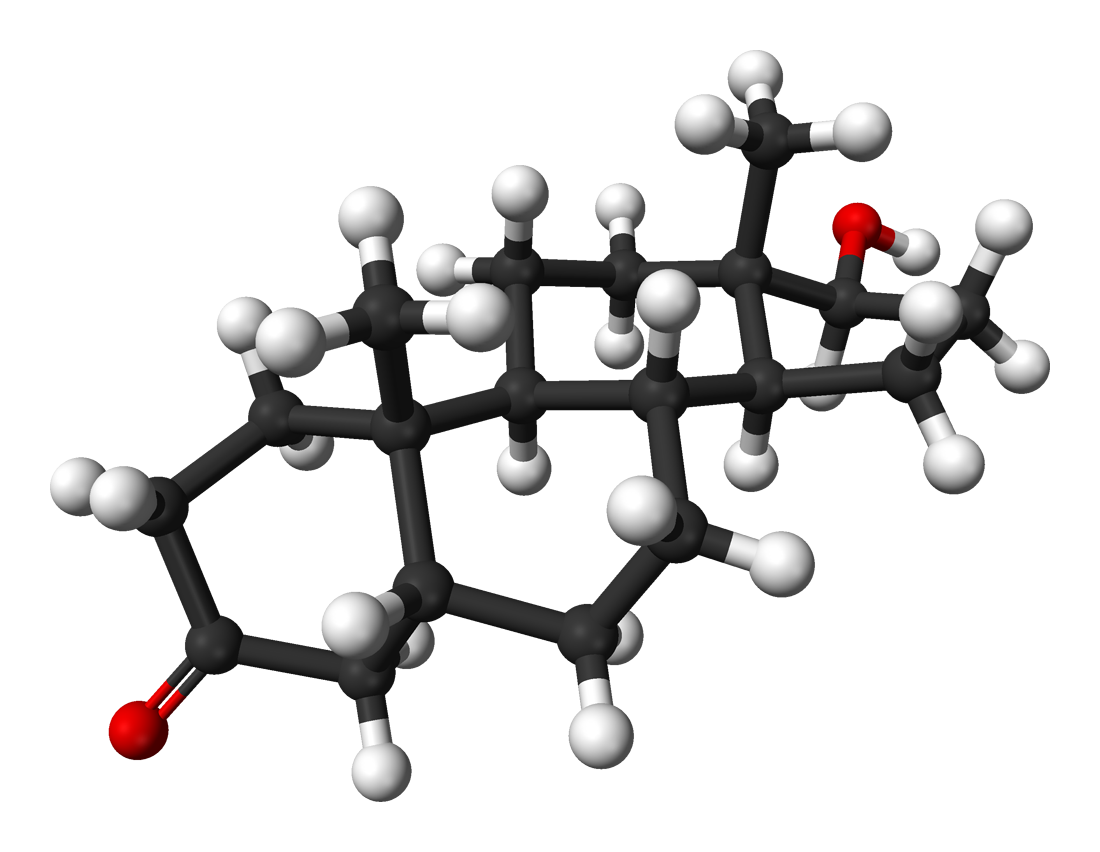 Reference figure from Wikimedia Commons.