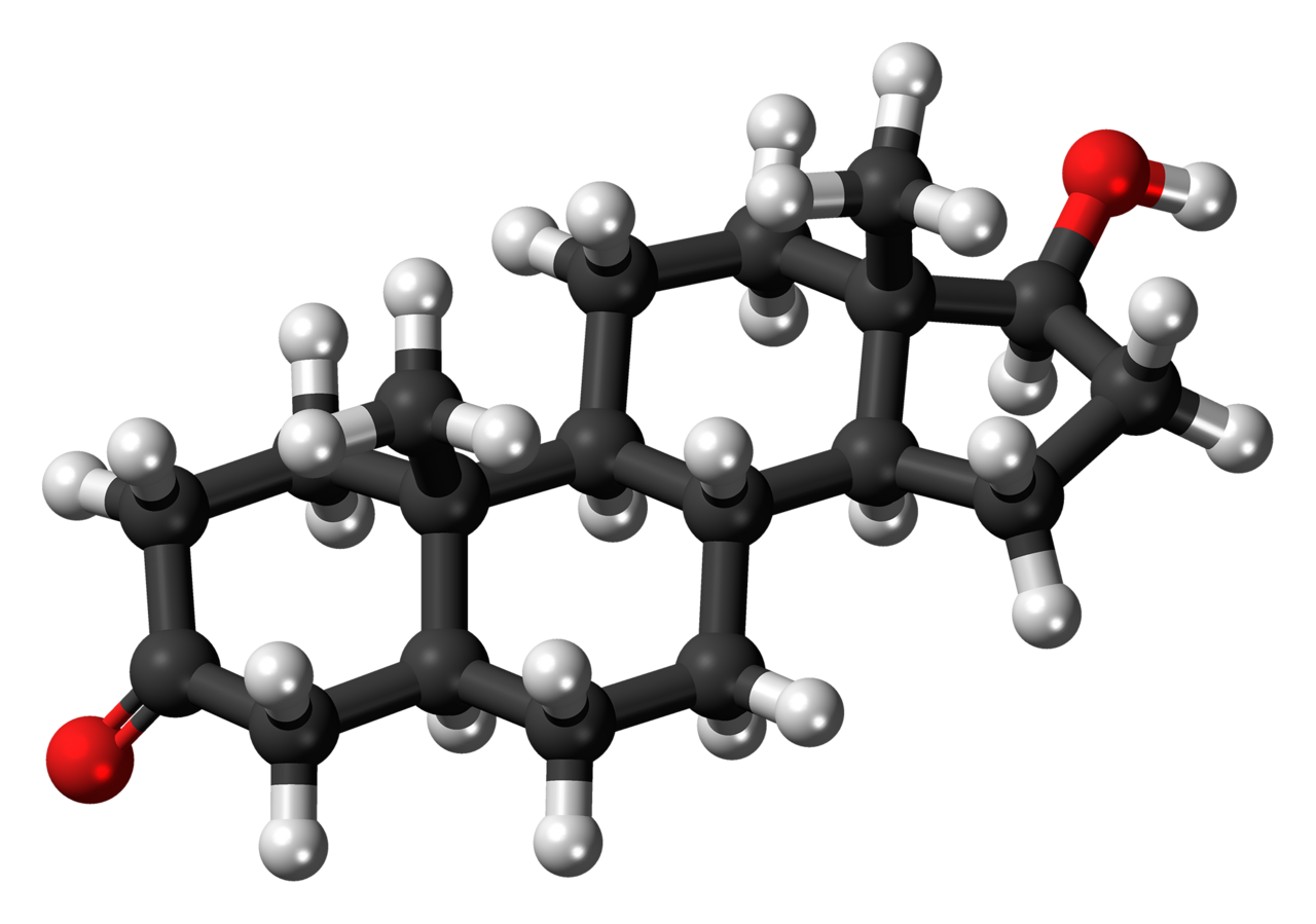 Ball-and-stick model of the dihydrotestosterone molecule, an <a href="https://en.wikipedia.org/wiki/anabolic-androgenic_steroid" class="extiw" title="w:anabolic-a