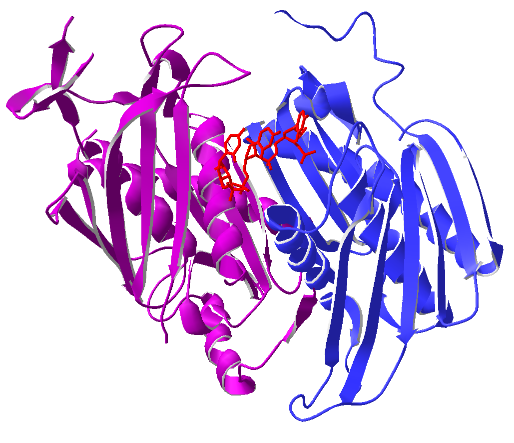 Exosome Therapy for Hair Loss: A New Frontier in Regenerative Medicine