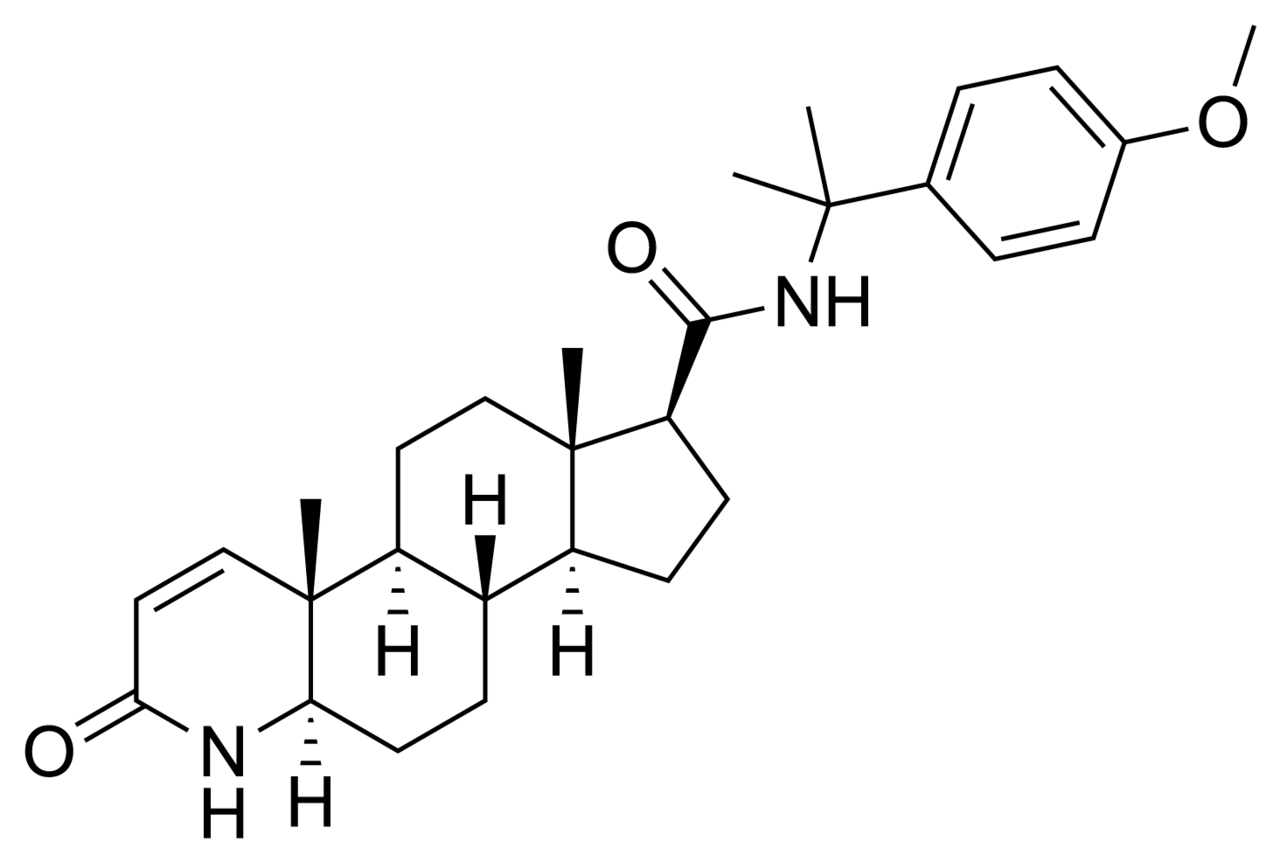 Skeletal structure of Lapisteride