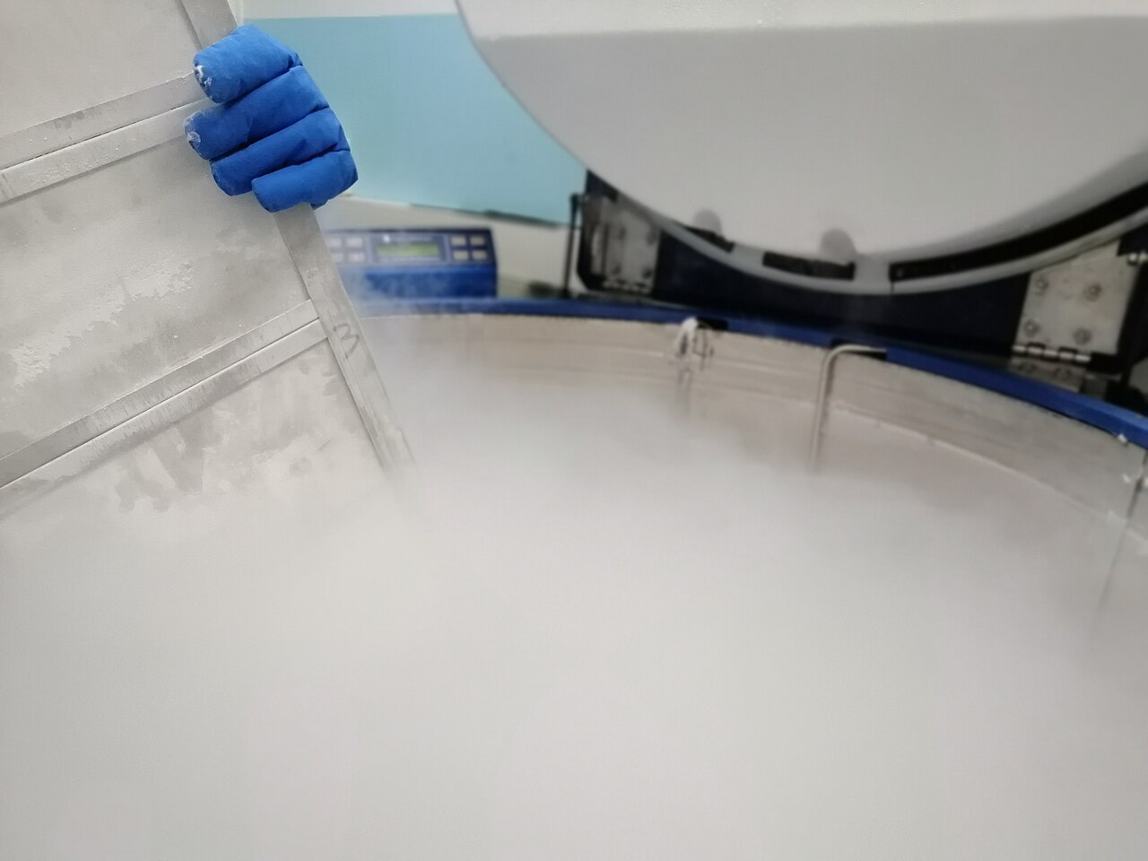 Hair follicle cloning: Stemson Therapeutics and the race to 2030