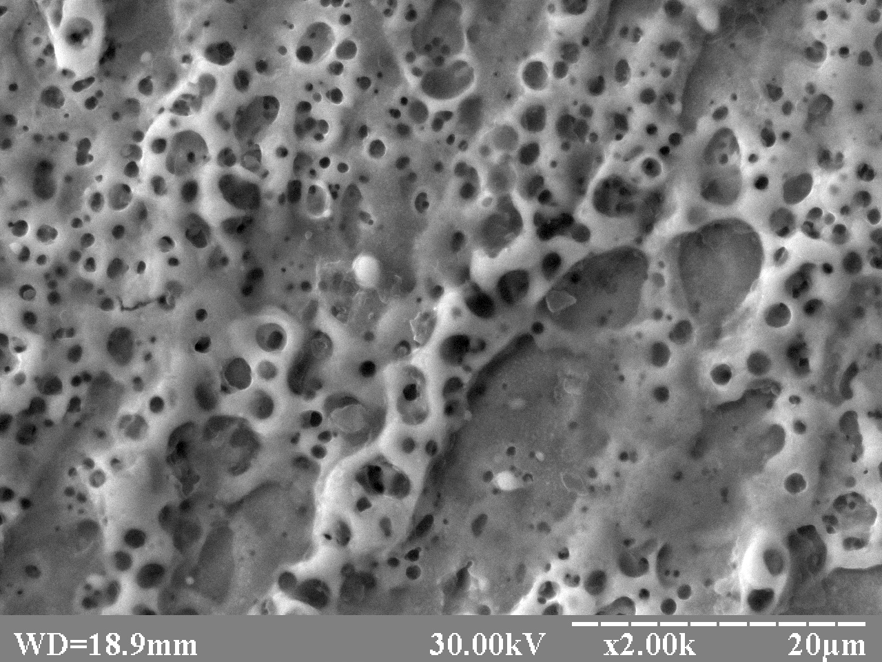 A series of 15Kh13MF steel images after pulsed nanosecond laser treatment in the transparent condensed medium (water), different magnifications