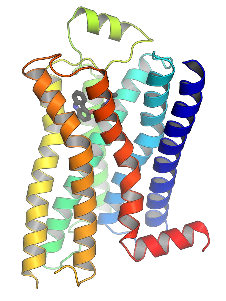 GPR44/DP2 is the G-protein-coupled receptor through which PGD2 inhibits follicle growth.