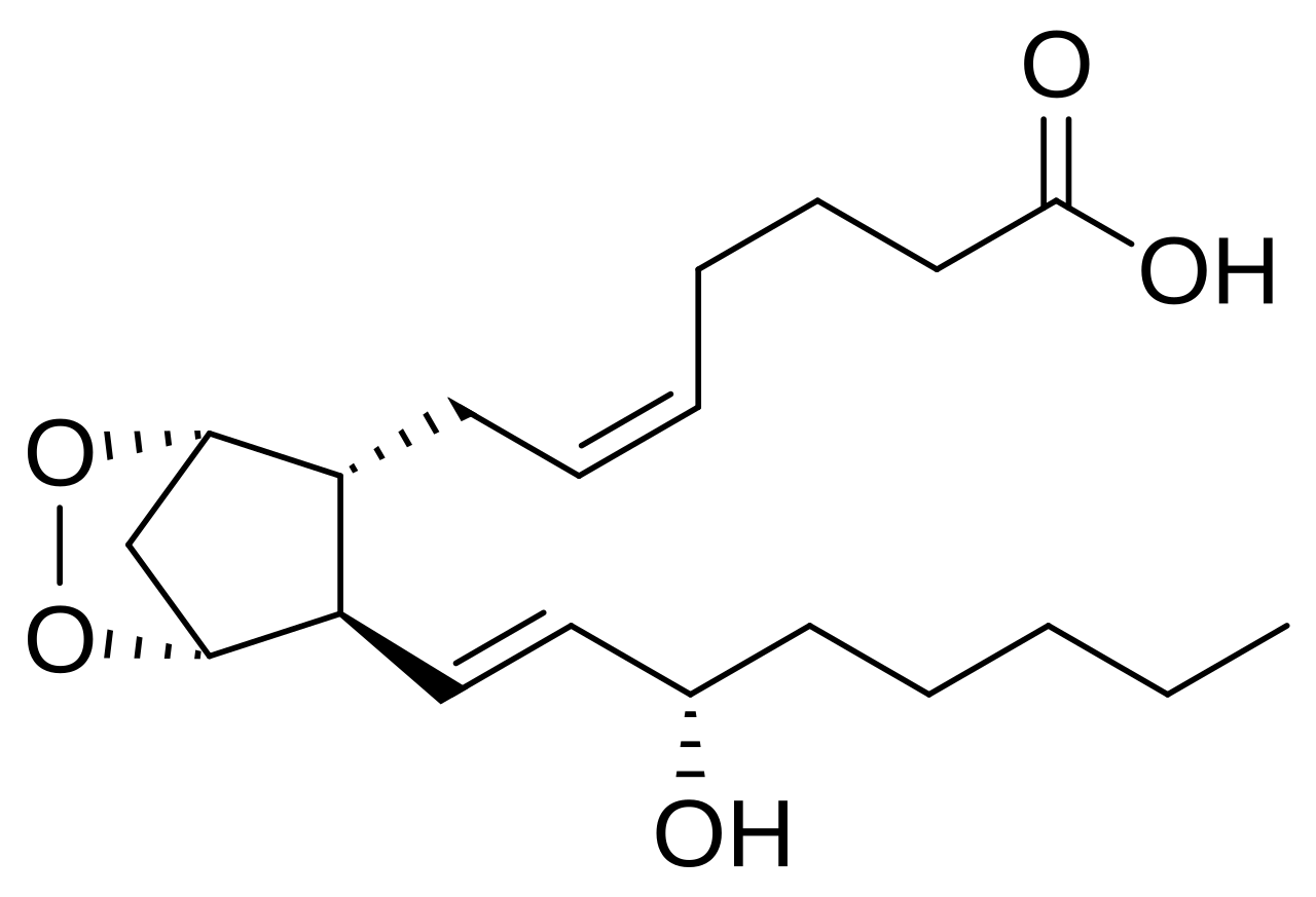 Structure of prostaglandin E2