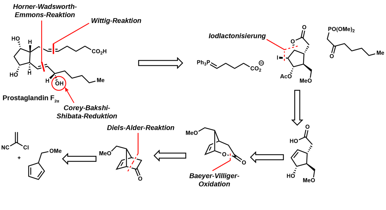 Structure of prostaglandin G2