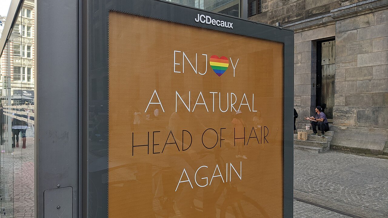Quantitative hair shaft diameter and terminal hair count tracking across clinical trial timelines.