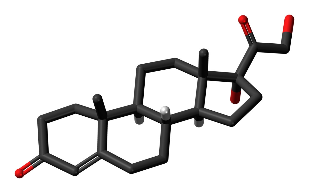 Sleep, Cortisol, and Hair Loss: A Real but Often Overstated Connection