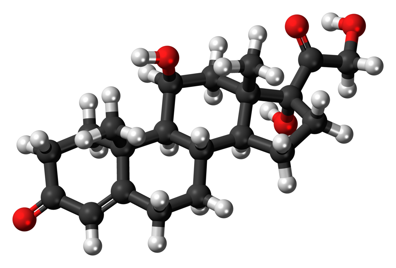 Stress-induced alopecia: the cortisol-substance P-mast cell cascade