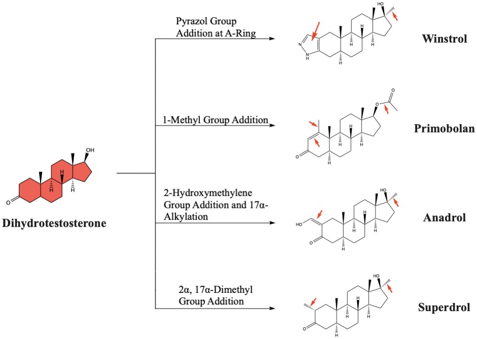 The Genetic Edge: Unpacking the Superiority of Dutasteride over Finasteride in Hair Loss Treatment