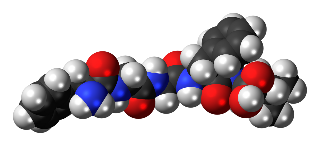 Molecular signaling cascade: receptor binding, phosphorylation kinetics, and transcriptomic activation.