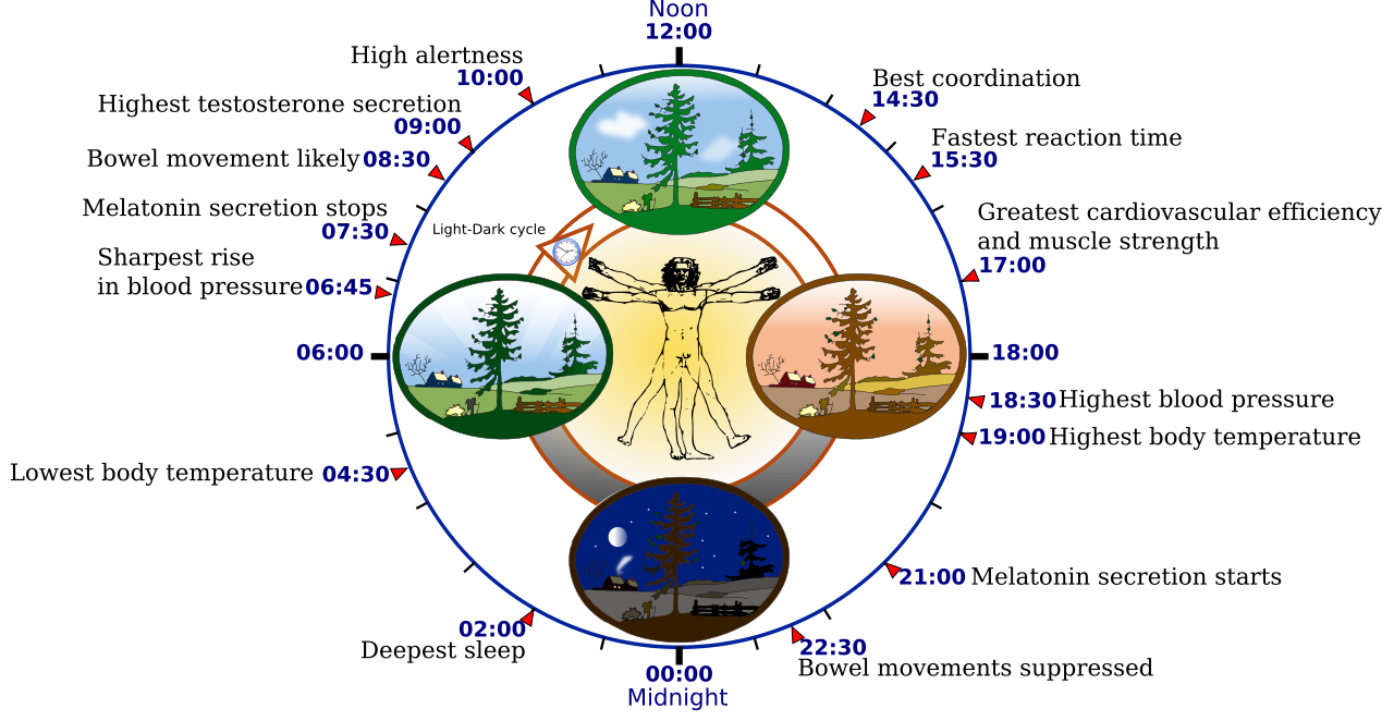 The Wake-Up Call: Unlocking the Sleep Deprivation and Hair Loss Connection